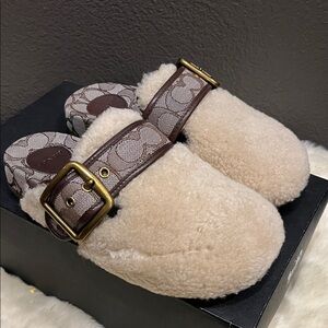 Coach Shearling Slippers clog